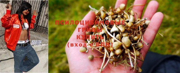 прущий лед Арсеньев